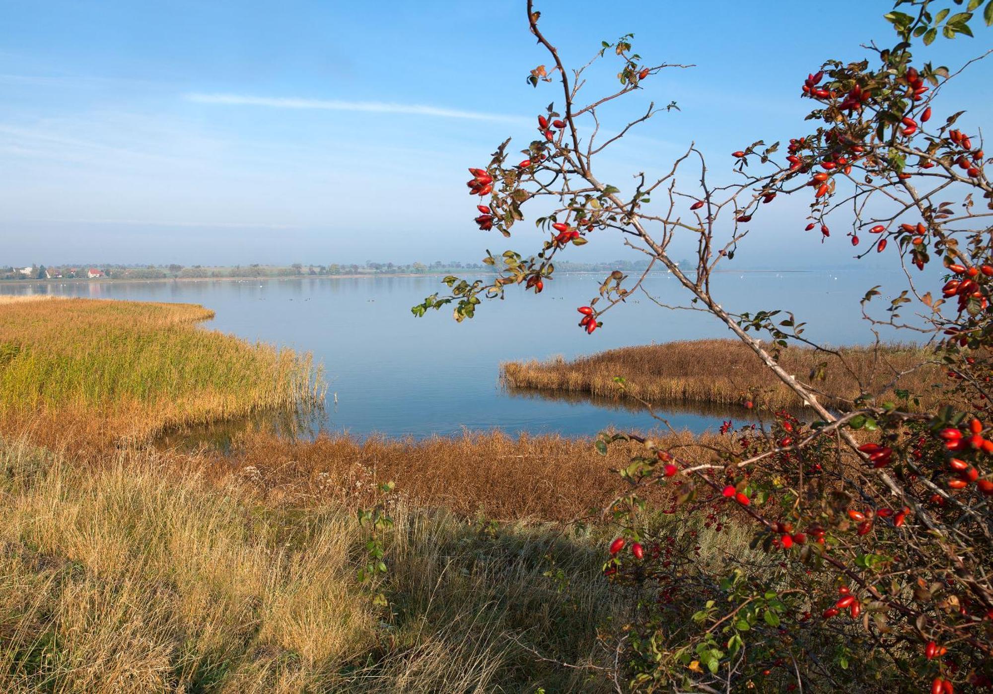 Gaude Tiet Insel Poel Exterior foto