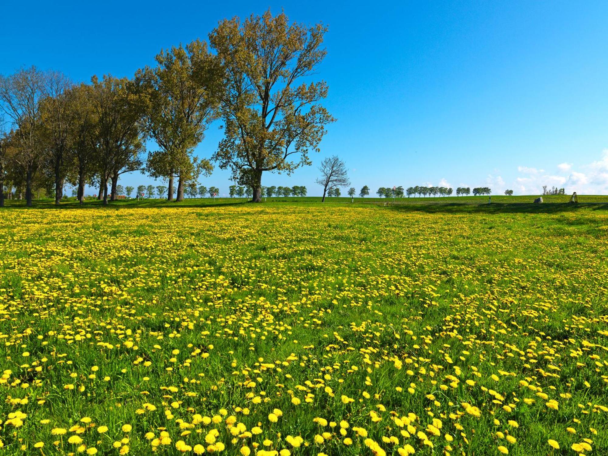 Gaude Tiet Insel Poel Exterior foto